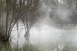 Teich im Park des Clos Lucé in (künstlichem) Nebel
